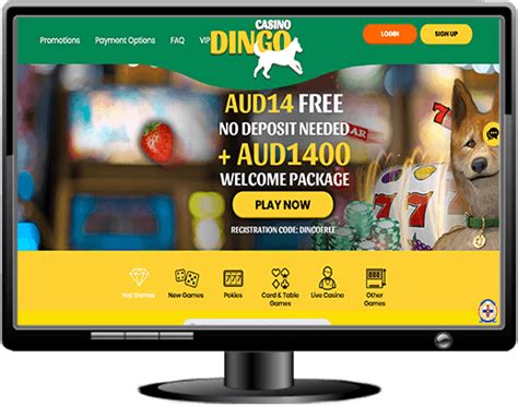 casino dingo|casino dingo australian.
